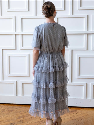 Silver Polka Dot Tulle Midi Dress