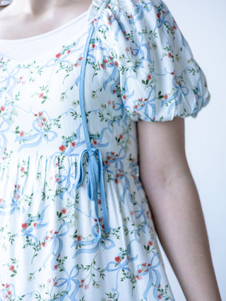 Blue Bird Bow Dress