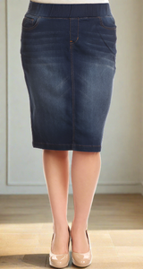 Debbie Denim Plus Skirt with Elastic Waist